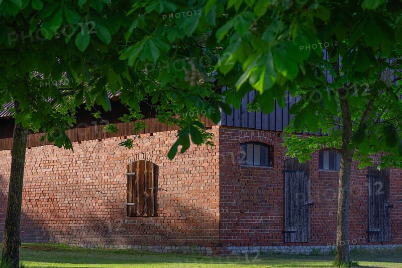 View through two chestnut trees to a part of a barn, Böhme, Heidekreis, Rethem Aller, Leine Aller Tal, Lower Saxony, Germany