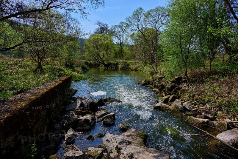 A tranquil river landscape with green trees and stones lining the banks, spring, Burgsinn, Sinntal, Spessart, Bavaria, Germany
