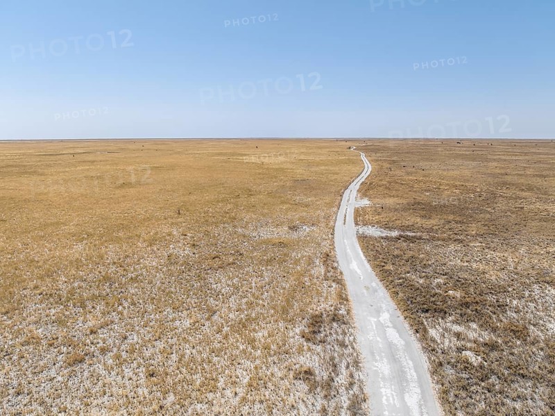 Sandy track through wide dry landscape with yellow grass, Sowa Pan, Makgadikgadi salt pans, Botswana