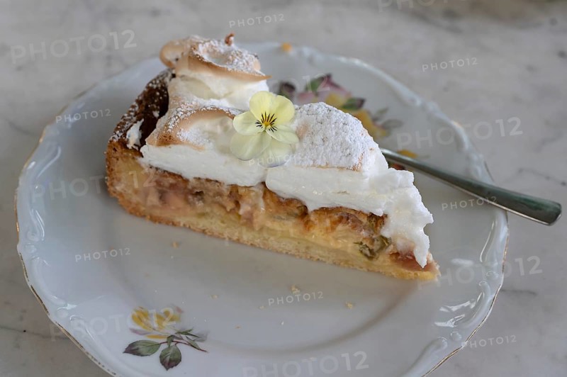 Piece of rhubarb pie, Bavaria, Germany