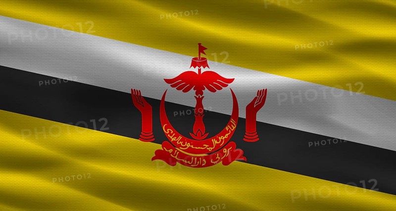 Brunei flag with fabric texture. Realistic flag of Brunei waving