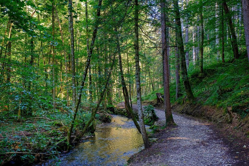 Einbach, on the hiking trail to the Dachshöhlen caves, Wackersberg, Tölzer Land, Upper Bavaria, Bavaria, Germany