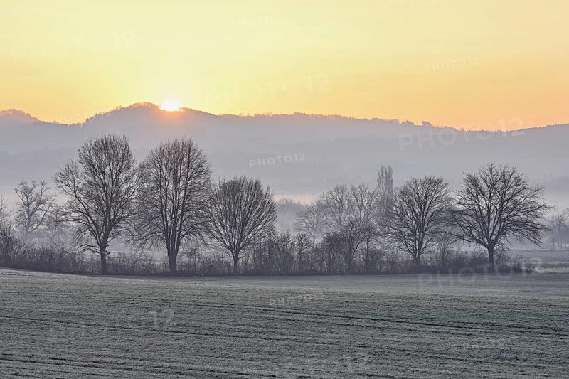 Meadows and trees in the early morning mist in the light of the rising sun, Reusstal, Aristau, Freiamt, Canton Aargau, Switzerland
