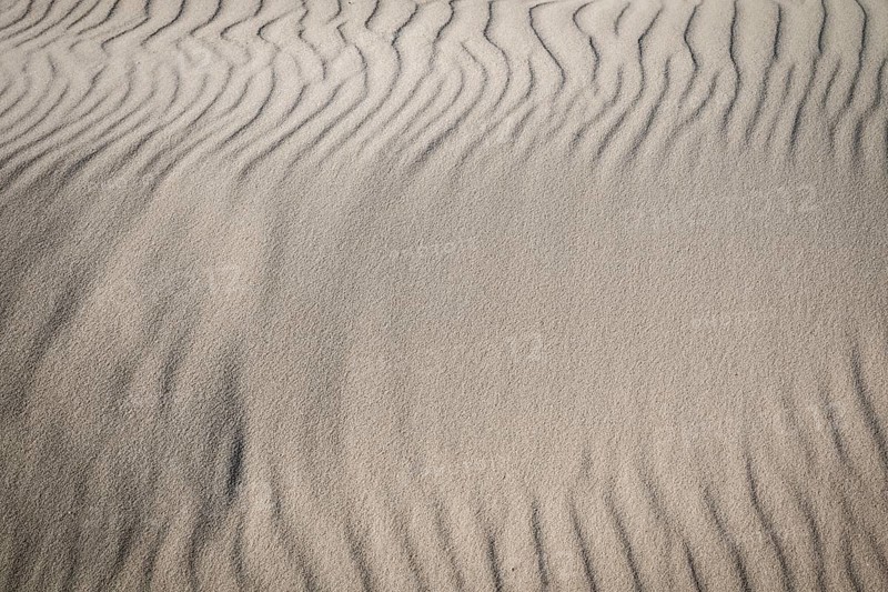Wave-like sand structures in close-up, sand drifts, Hvide Sande, North Sea, Denmark