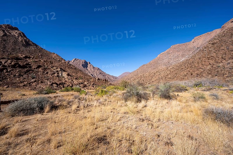 Tsisab Gorge, White Lady Trail, desert landscape, Brandberg, Erongo, Damaraland, Namibia