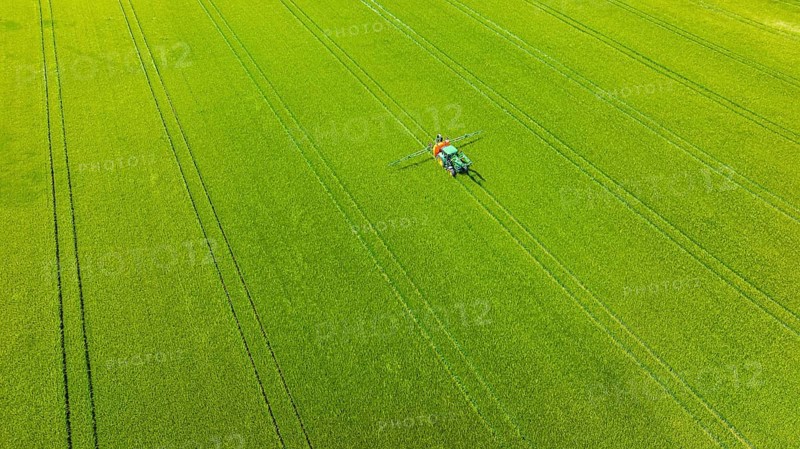 Farmer with tractor working in the field. In early summer, he fertilises the grain for an optimum yield. Drone photo. Merklingen, Baden-Württemberg, Germany