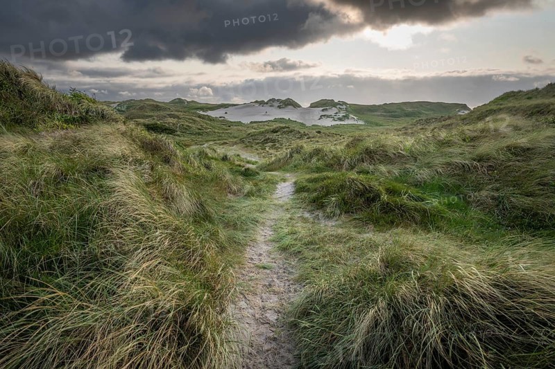 A narrow sandy path leads through a grassy landscape with dunes and dark clouds, near Hvide Sande, Jutland, Denmark