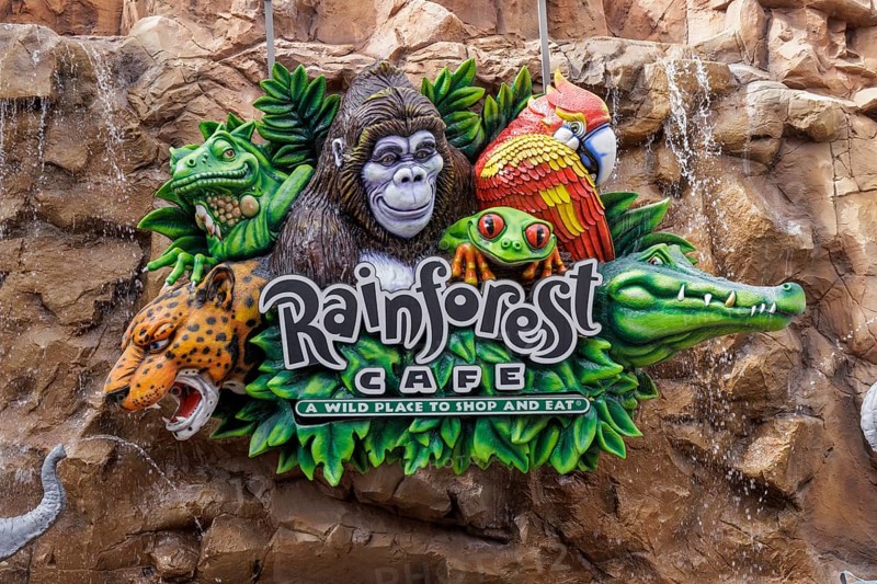 Sign for the Rainforest Cafe restaurant in Disney Springs at Disney World in Orlando, Florida, USA