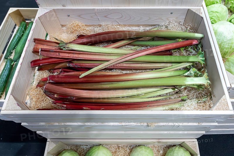 Rhubarb