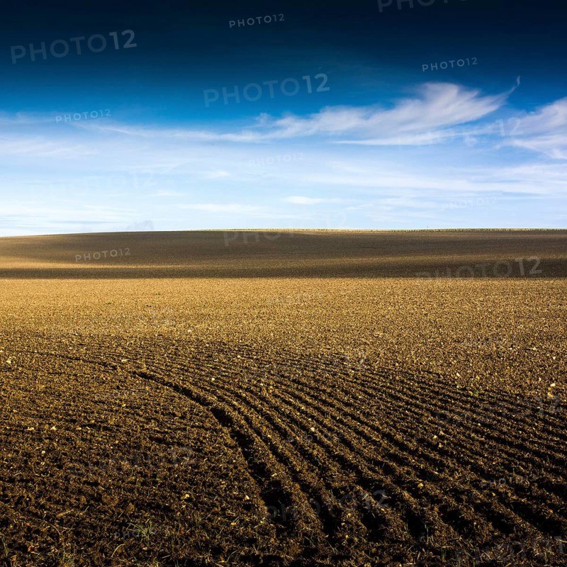 A vast stretch of farmland showcases freshly tilled soil stretching towards the horizon. The sky is clear with a few wisps of clouds, providing a serene backdrop to the rural landscape. Puy de Dome. Auvergne. France