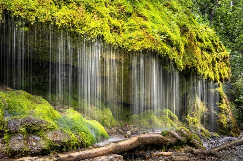 The Dietfurt waterfall, moss and stones, long exposure, Wutach Gorge, Black Forest, Baden-Württemberg, Germany