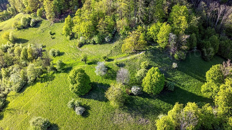 Landscape near Gutenberg, mountains and forest of the Swabian Alb in spring. Lenningen, Baden-Württemberg, Germany