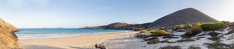 Beach, bay, Cormorant Point, Galapagos, Ecuador