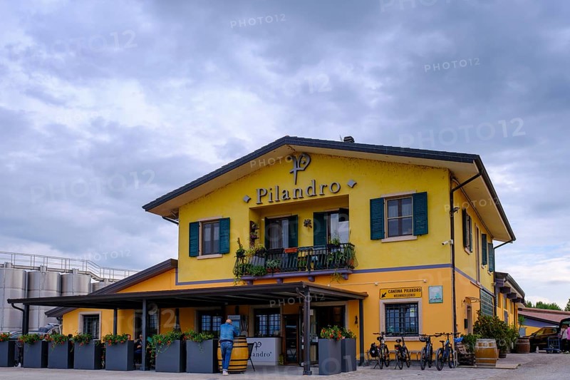 Pilandro winery, near Desenzano, on Lake Garda, Lombardy, Italy