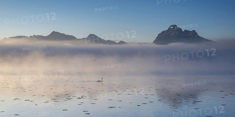 Sunrise at Lake Hopfensee near Füssen, with the Tegelberg massif and the Säuling behind it, Ostallgäu, Allgäu, Upper Swabia, Swabia, Bavaria, Germany