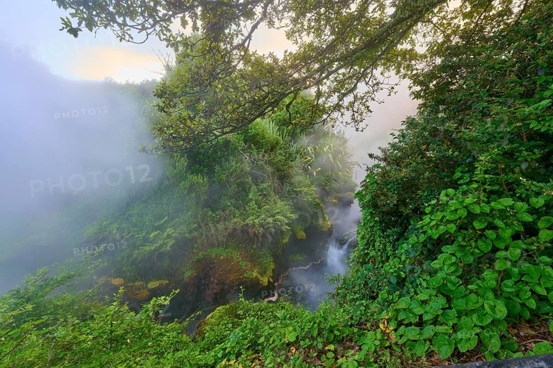 Steaming waterfall surrounded by dense vegetation and a mystical atmosphere, Te Manaroa Spring, hot spring, Waikite Valley, Bay of Plenty, North Island, New Zealand