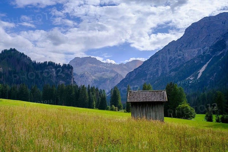 Barn and Prato Piazza meadows, Altpragser Tal, Pragser Tal, Pustertal, South Tyrol, Italy