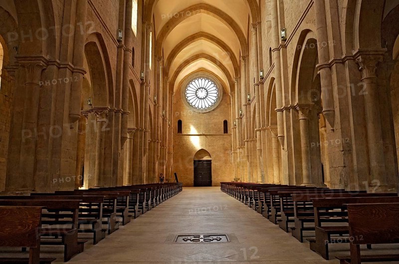 Nave with rose window above portal, interior, Gothic basilica of the Cistercian Abbey of Fossanova, Cistercian-Burgundian architectural style, Priverno, Province of Latina, Lazio, Italy