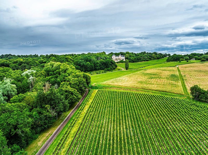Castle of La Riviere, Vineyard Chateau de La Riviere from a drone, Bordeaux, France