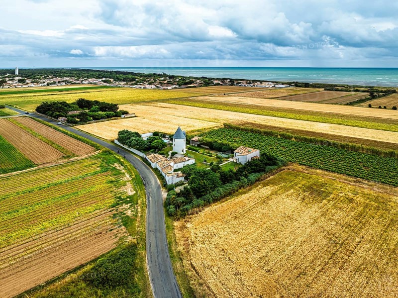 Fields and Grape plantations from a drone, Saint-Clement-des-Baleines, Atlantic, France