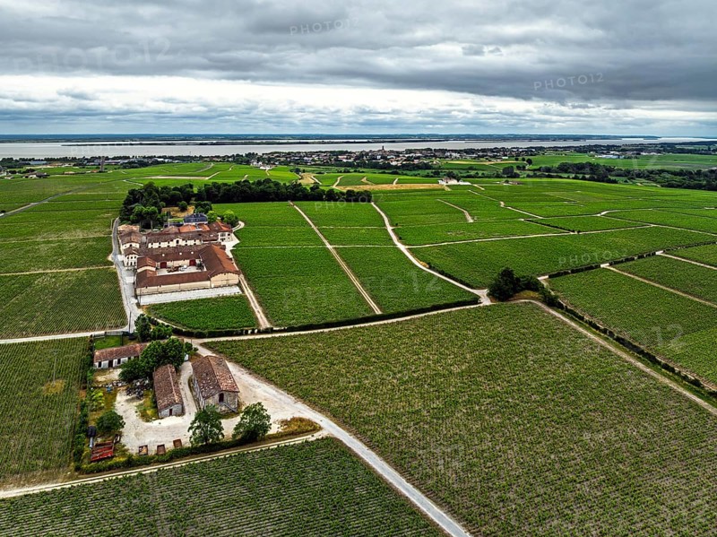 Chateau Pontet-Canet Vineyard and grape fields around Pauillac and Gironde Estuary from a drone, Bordeaux, Gironde, Nouvelle-Aquitaine, France