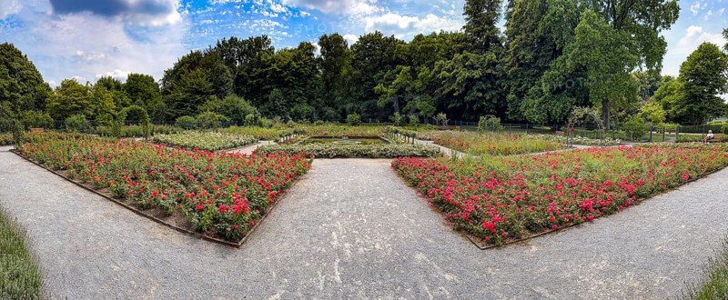 Symmetrically arranged flowerbeds in the rose garden of Grugapark, Essen, North Rhine-Westphalia, Germany