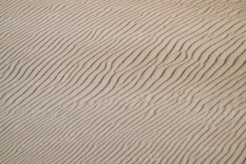 Natural sand patterns with wave-like grooves on a dune, beach near Hvide Sande, North Sea, Denmark