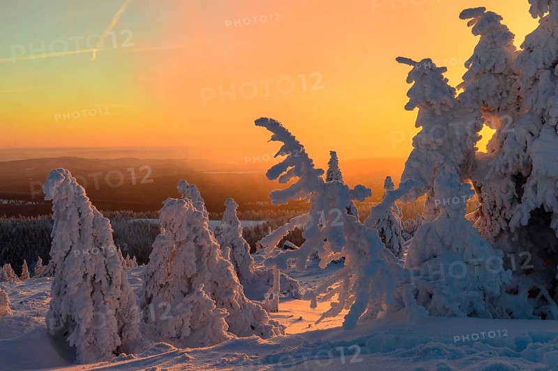 Snow-covered montane forest under rising sun at dawn, Brocken, Saxony-Anhalt, Germany