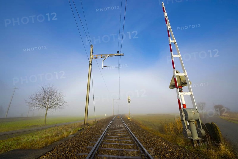 Railroad Tracks in a Foggy Agriculture Field with Bare Tree and Sunlight in Locarno, Ticino, Switzerland