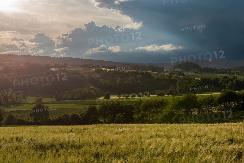 Dramatic cloudy sky with approaching storm and last rays of sunshine, Frankenhain, dark cloud wall, cumulonimbus clouds, thunderstorm in the lift, low mountain landscape, agriculture, forest, grain field, backlight shot, municipality Berkatal, Werra-Meissner-Kreis, Hesse, Germany
