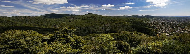 Siebengebirge, low mountain range on the right bank of the Rhine, Königswinter, North Rhine-Westphalia, Germany