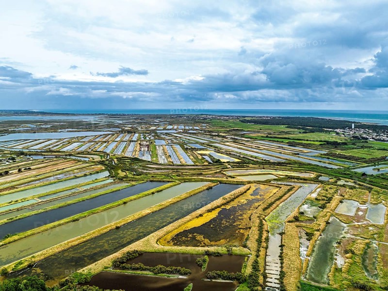 The Lilleau des Niges National Nature Reserve from a drone, The salt marshes, Saint-Clement-des-Baleines, Atlantic, France
