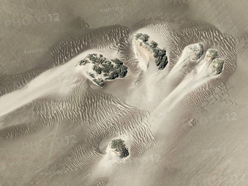 Small sand heaps form around the sparse vegetation in the Namib Desert. Aerial view. Drone shot. Skeleton Coast National Park, Namibia