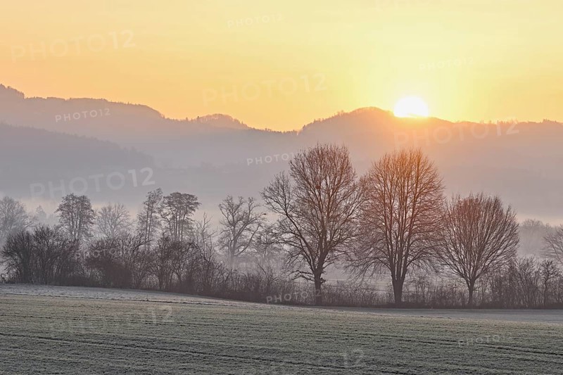 Meadows and trees in the early morning mist in the light of the rising sun, Reusstal, Aristau, Freiamt, Canton Aargau, Switzerland