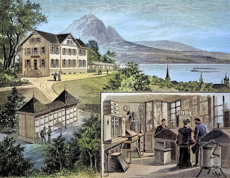 The bee museum in Rosenberg near Zug, Switzerland, original drawing by J. Scotti, illustration, published 1890, reproduction, digitally enhanced, historical