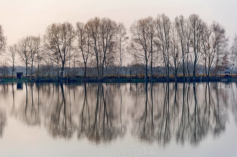 Evening mood at Moosinninger Weiher, quarry pond, fishing pond for carp, reflection of the trees on the shore, smooth calm water, Moosinning in Erdinger moss, Erding, Upper Bavaria, Bavaria, Germany
