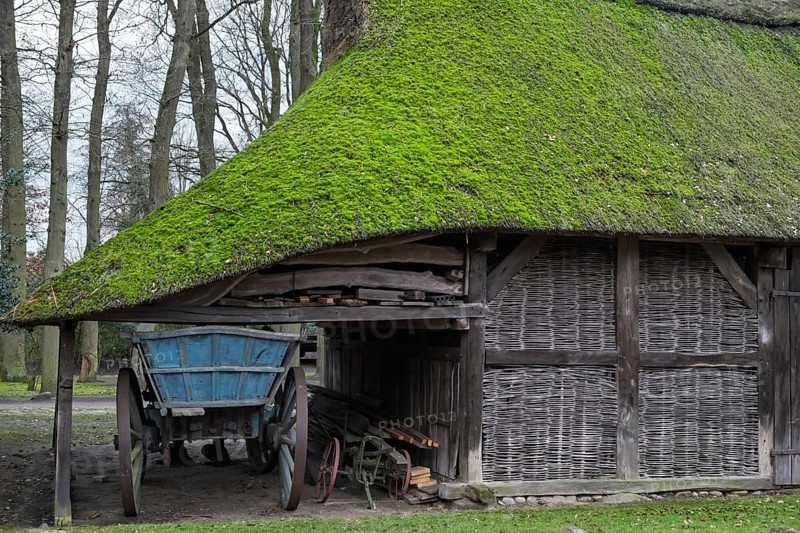 Old barn with moss-covered thatched roof, Lower Saxony, Germany