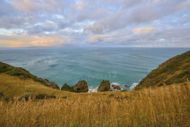 Grassy cliffs spread over coastal hills overlooking the sea, summer, Nugget Point Lighthouse, Ahuriri Flat, Otago, South Island, New Zealand