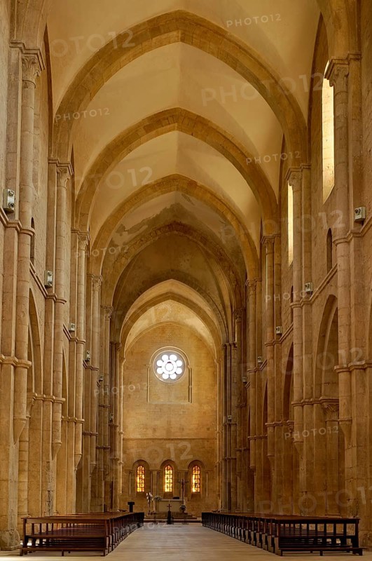 Nave, choir with altar, interior, Gothic basilica of the Cistercian abbey of Fossanova Monastery, Cistercian-Burgundian architectural style, Priverno, Province of Latina, Lazio, Italy