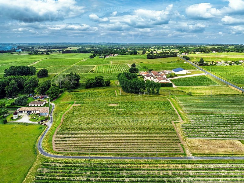 Vineyards and grape fields around Bordeaux from a drone, Saint-Mariens, Gironde, Nouvelle-Aquitaine, France