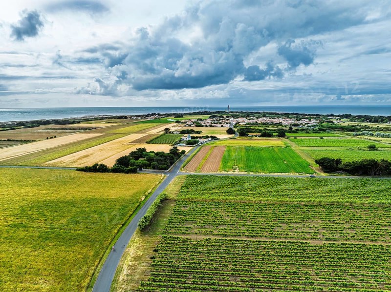 Fields and Grape plantations from a drone, Saint-Clement-des-Baleines, Atlantic, France