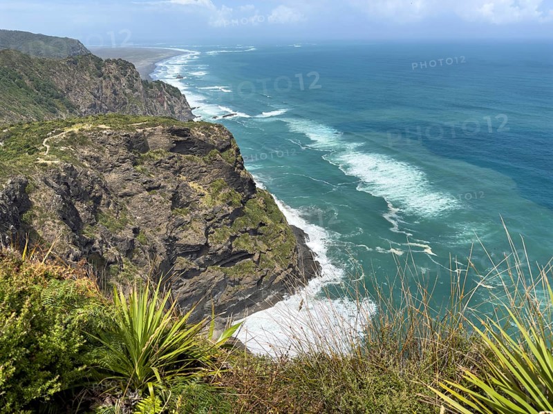 Breathtaking cliffs overlooking the turquoise blue sea and wild vegetation at Mercer Bay Loop Walk Lookout, North Island, New Zealand, Oceania