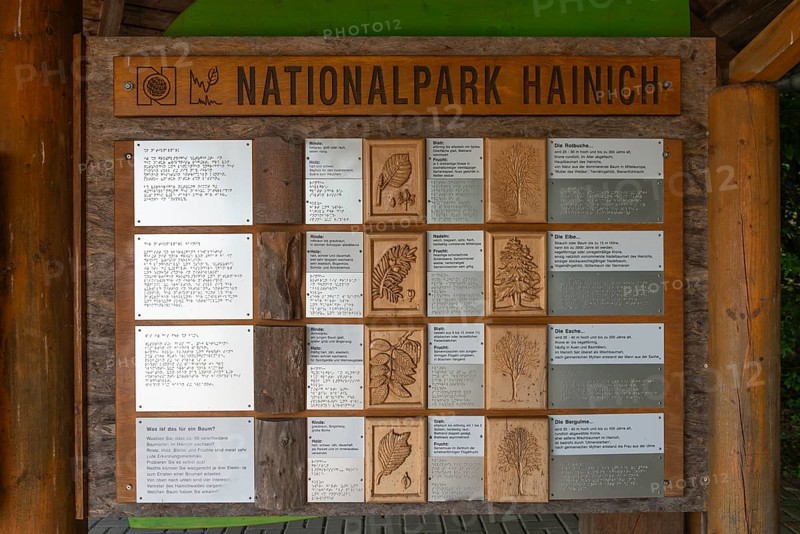 UNESCO World Heritage Site and Hainich National Park, explanations of the leaves and fruits of the various tree species, Braille, Bad Langensalza, Thuringia, Germany