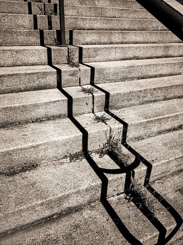 Uneven concrete steps in an urban area expose cracks filled with weeds growing in the crevices. Sunlight highlights the contrast between nature and urban decay