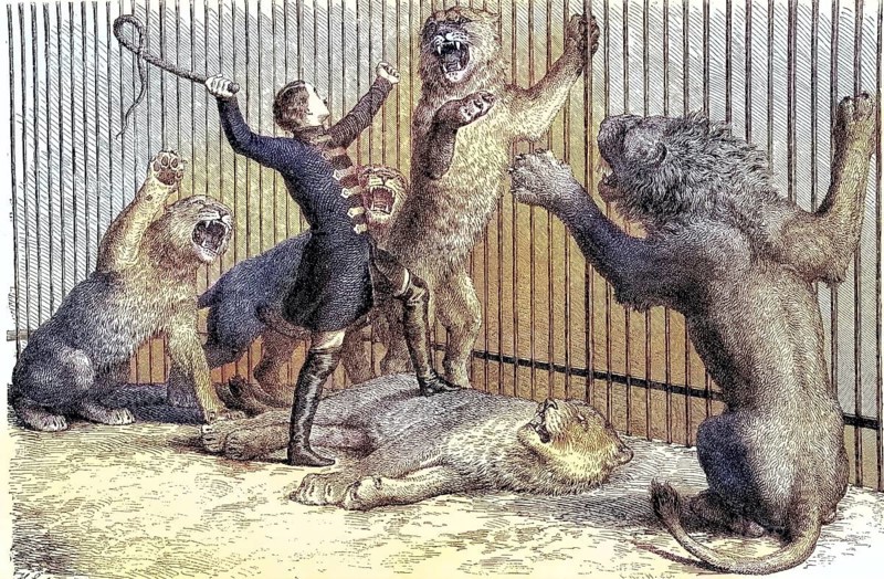 Thomas Batty, 1832-1903, English tamer and circus owner and his lions, coloured woodcut from 1864, man in a cage taming several lions with a whip