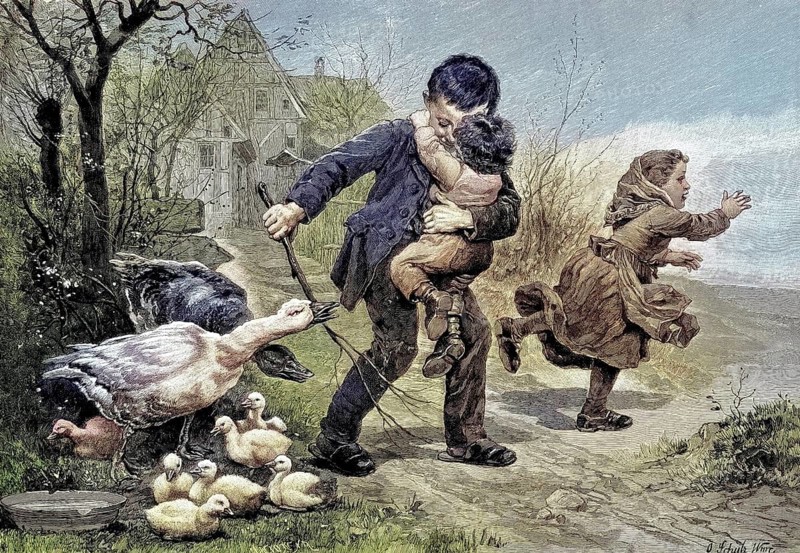 Dangerous encounter, goose mother and goose father defend their young from the curious children, original drawing by D. Schulz, Germany, illustration, published 1890, reproduction, digitally enhanced, historical