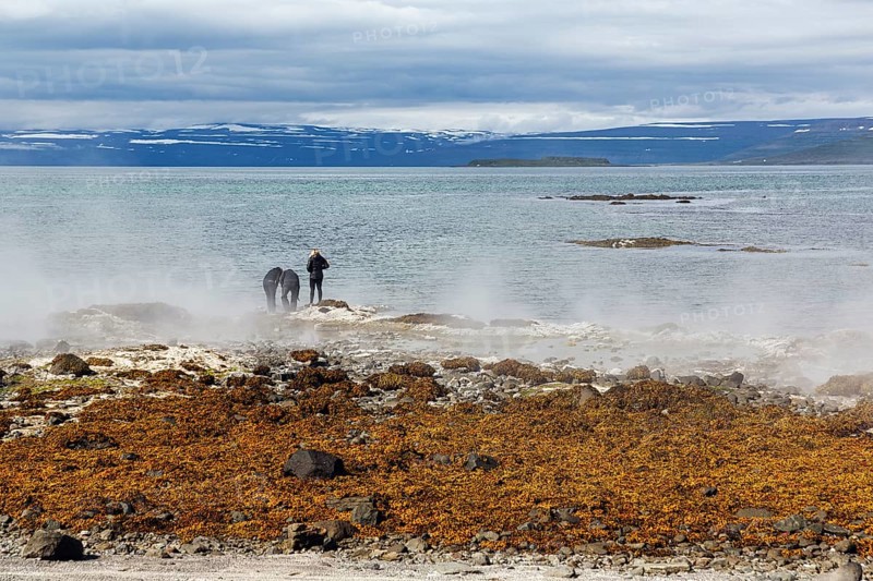 Hot spring flows into the sea, tourists on the steaming rocky coast near Reykjanes, Súðavík, Ísafjarðardjúp fjord, Vestfirðir, Westfjords, Iceland