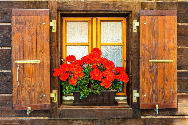 Window with wooden shutters decorated with geraniums (Pelargonium), historic village centre, Grimentz, Val d'Anniviers, Valais Alps, Canton Valais, Switzerland