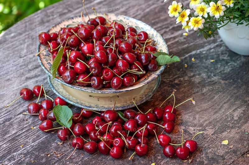 Fresh sweet cherries (Prunus avium) in a bowl, Bavaria, Germany