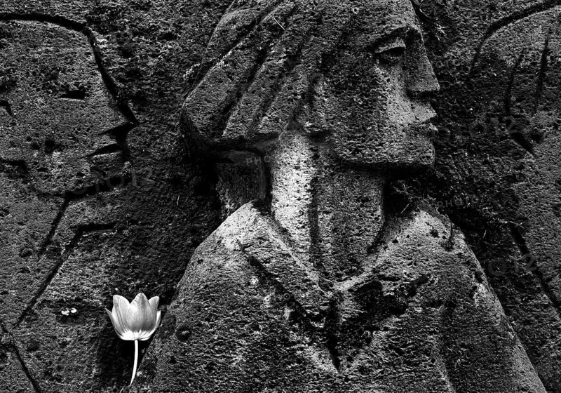 Bittermark memorial, memorial site, detail with tulip for the memorial service on Good Friday, artist Karel Niestrath, Dortmund, Germany
